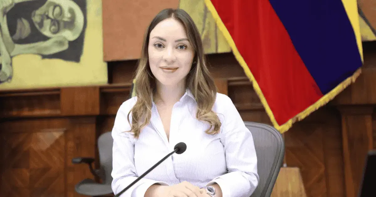 Mancheno sostiene que Asamblea debe adaptar leyes tras resolución de la Judicatura