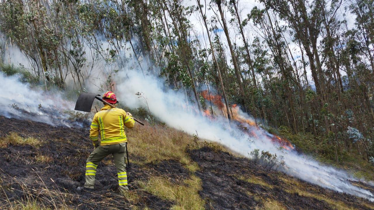 Rebrote complica incendio en Tarqui