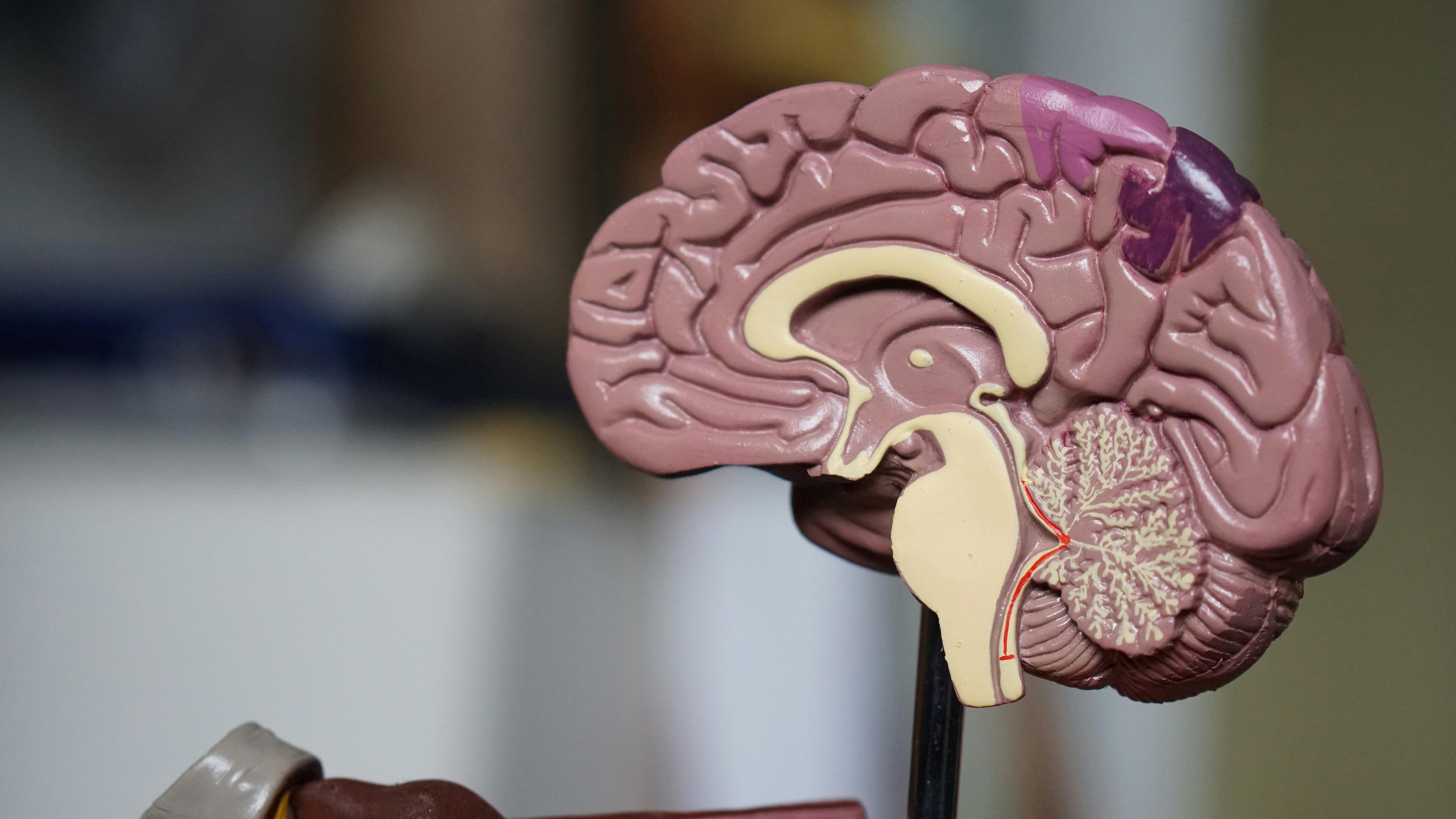Descubrimiento Científico Revoluciona la Medicina Mundial