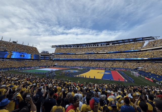 Más de 60.000 aficionados ecuatorianos vivieron con amargura la derrota de La Tri
