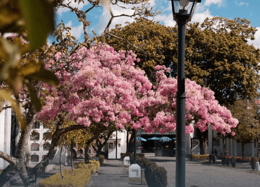 Serenatas y misas en Cuenca por el Día del Padre 2026