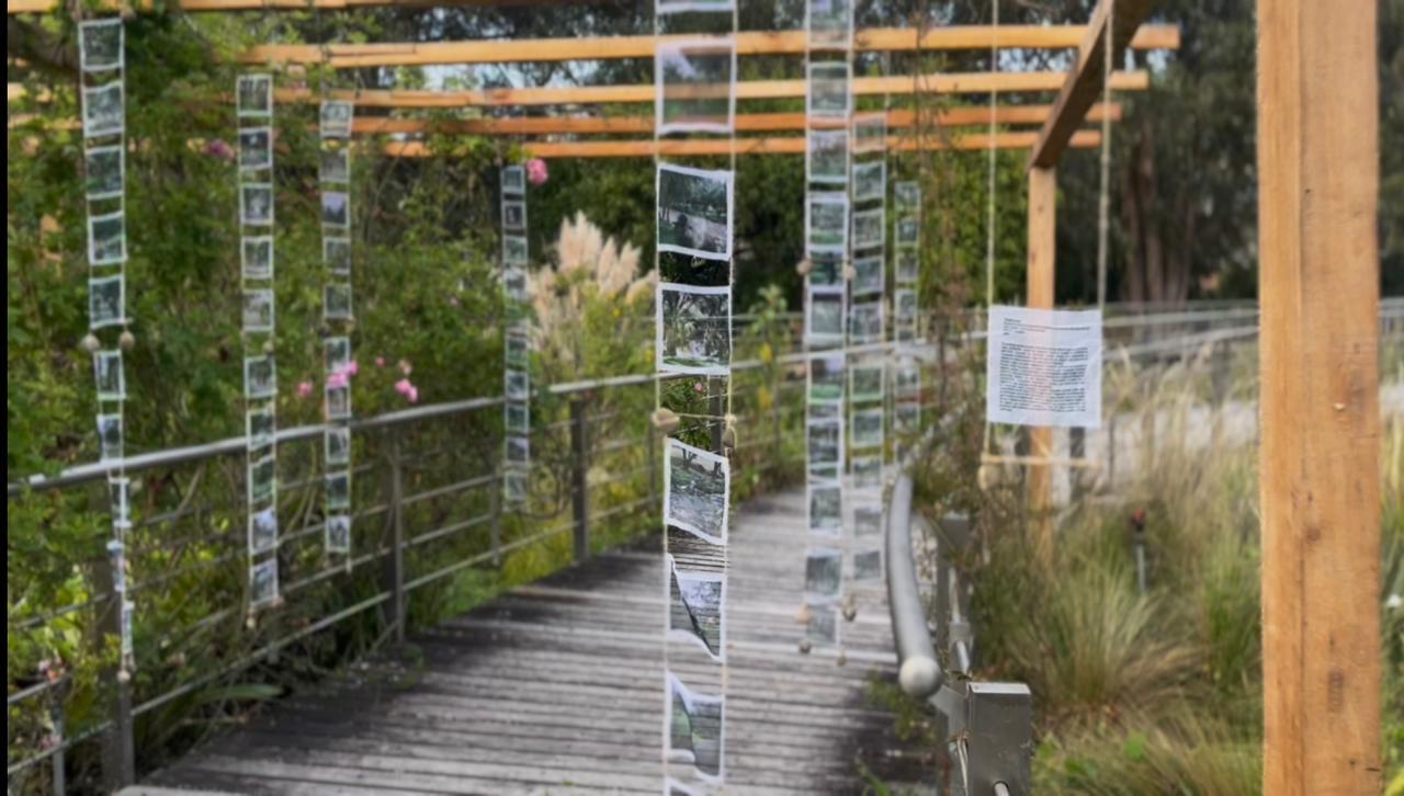 El Jardín Botánico de Cuenca se convierte en ‘museo’ y acoge siete propuestas artísticas