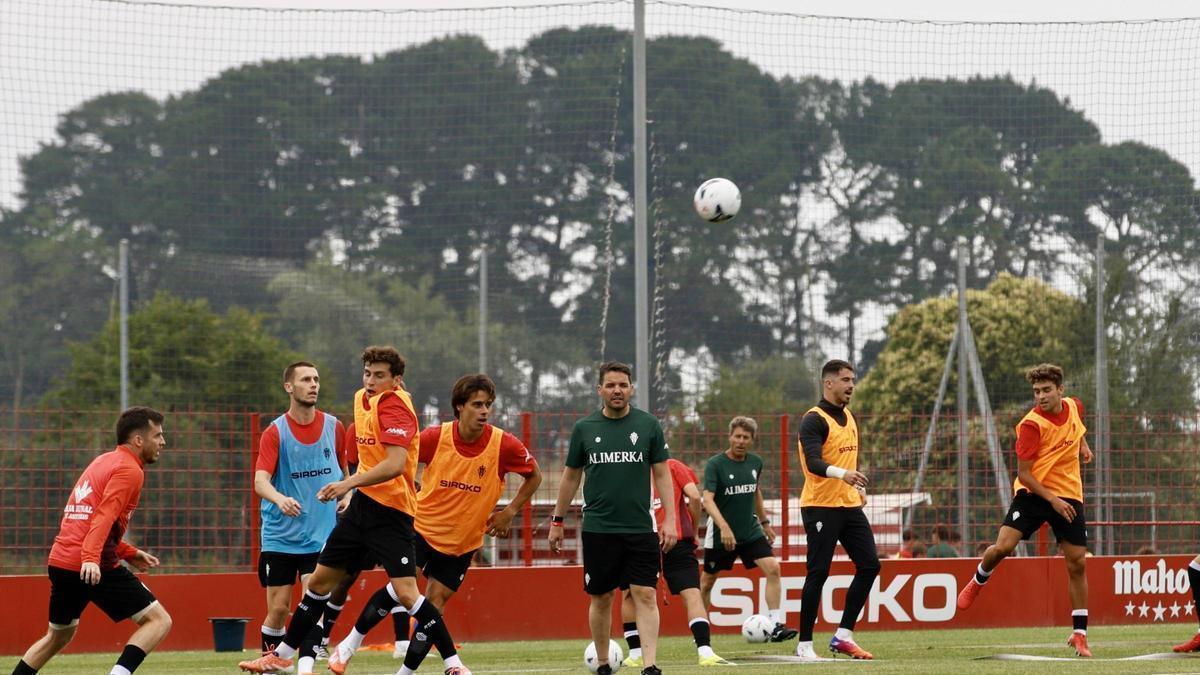 Nicolás Larcamón y su propuesta para el Sporting de Gijón