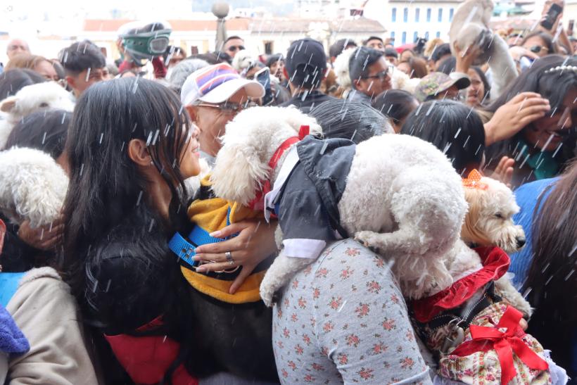 La bendición de mascotas en Ecuador este 4 de octubre