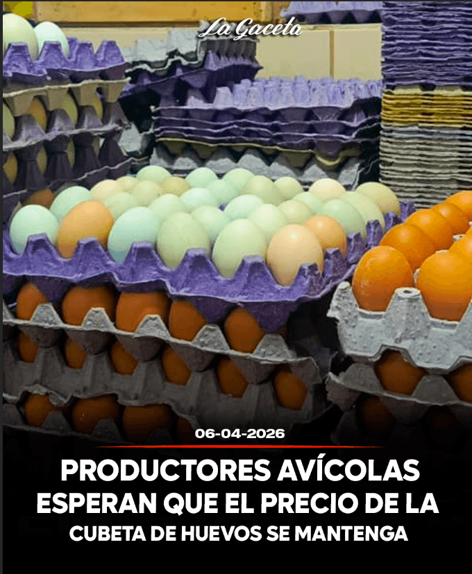 Productores avícolas esperan que el precio de la cubeta de huevos se mantenga