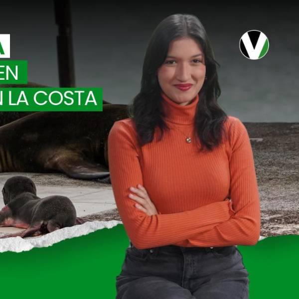 Intensas lluvias afectan la Costa ecuatoriana