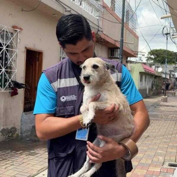 ProAnimal retira perro expuesto a lluvias en Sauces 5, Guayaquil