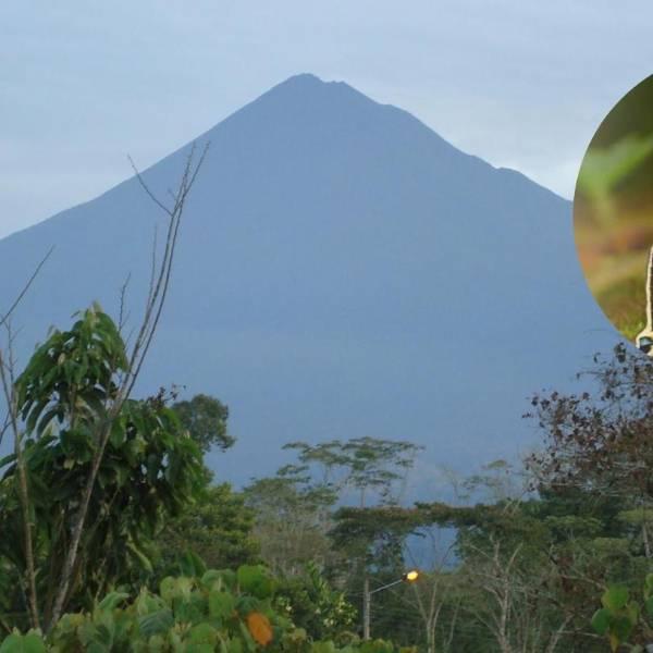151 especies de mariposas registradas en el Parque Sumaco