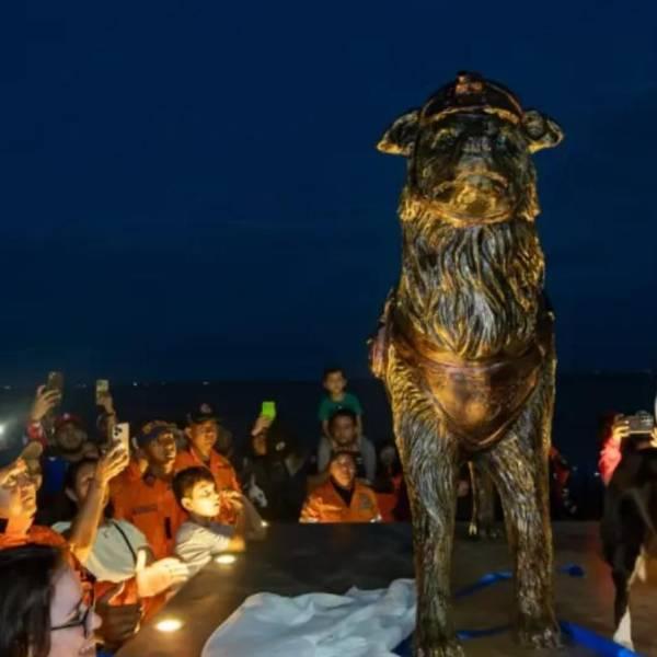 Tsunami, el perro rescatista homenajeado en Venezuela