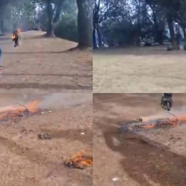 Detienen a individuo por intentar quemar cables en bosque de Quito