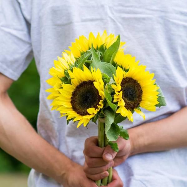 Flores amarillas el 21 de septiembre: su origen y significado en Ecuador