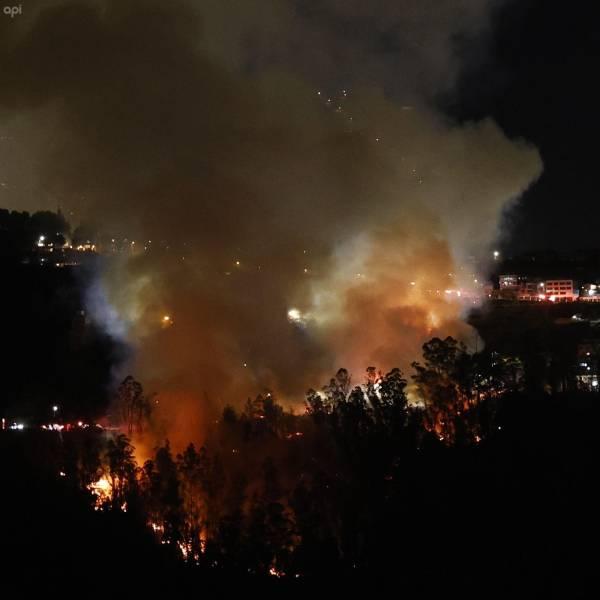 Prisión preventiva por incendio forestal en La Vicentina