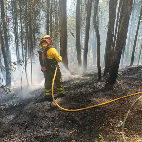 Bomberos controlan incendio forestal en Rumipamba, Quito
