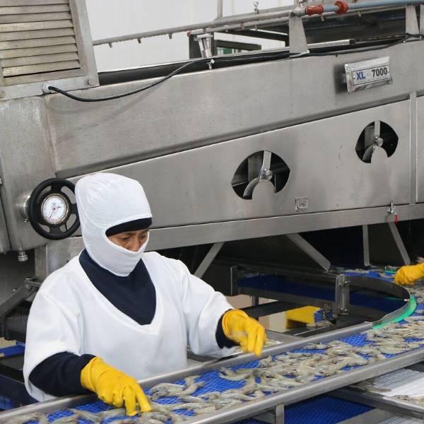 Cortes de energía amenazan empleos en Ecuador
