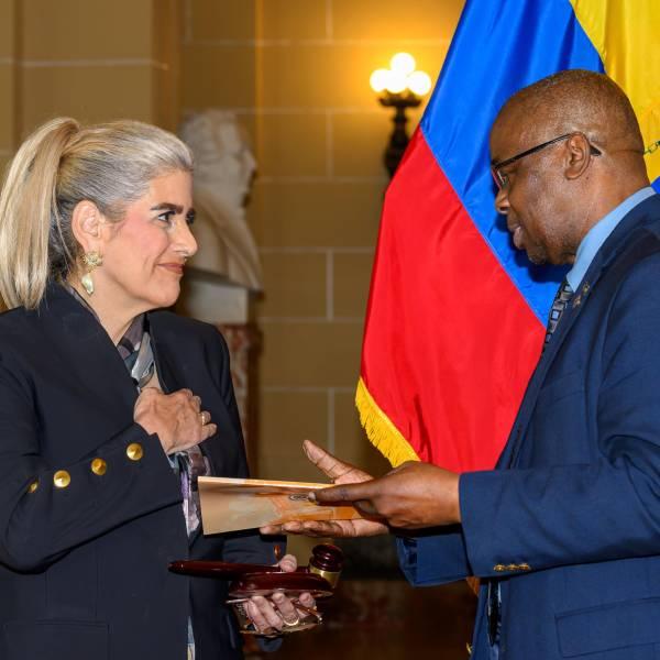 Mónica Palencia asume la Presidencia del Consejo Permanente de la OEA