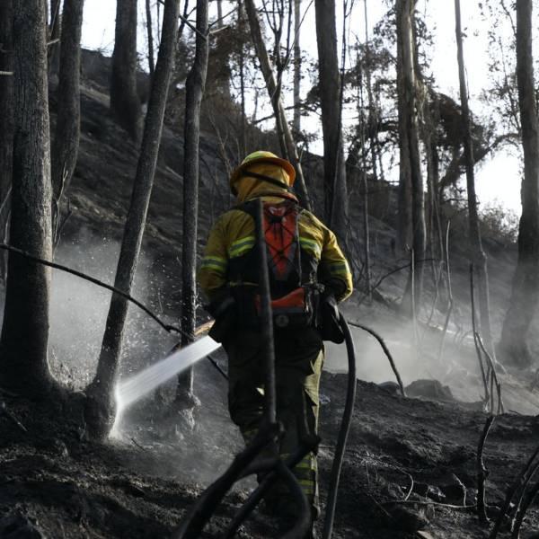 Incendio forestal en La Bota, Quito, fue controlado
