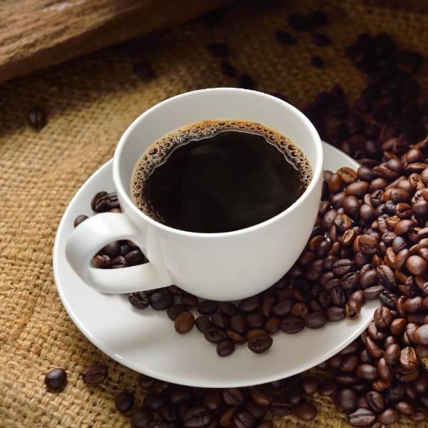 Loja, declarada Capital del Café del Ecuador